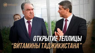 Открытие инновационной теплицы "Витамины Таджикистана"