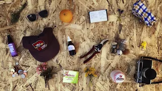Modern Nature - Harvest (Official Video)
