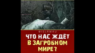 Что нас ждёт в загробном мире?