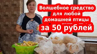 Волшебное лекарство для бройлеров и кур несушек - отличная профилактика