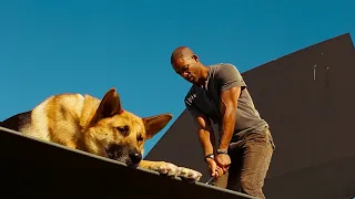 My name is Robert Neville | I Am Legend (Director's Cut)