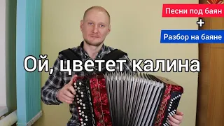 Простой разбор песни на баяне "Ой, цветет калина". Песни под баян. #Баянист_Евгений_Попов