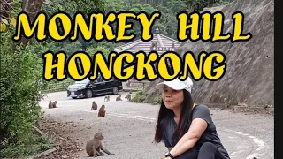 KAM SHAN COUNTRY PARK ( MONKEY HILL) HONGKONG #adventure