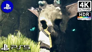 The Last Guardian (PS5) 4K ᵁᴴᴰ HDR Gameplay Ultra High Definition