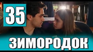 Зимородок 35 серия на русском языке. Новый турецкий сериал