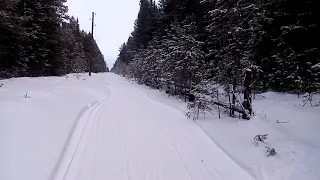 Капкан на волка. Установил.