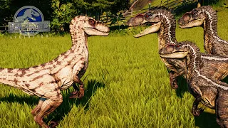 DINOSAURIOS INTELIGENTES!! VELOCIRAPTORES se unen para enfrentarse a los dinosaurios mas grandes JWE