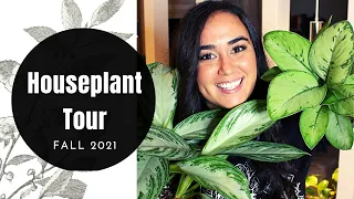 HOUSEPLANT TOUR Fall 2021 (Part 1)