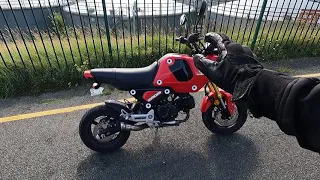 best motorcycle for beginners!?  / honda grom 2022/23!!