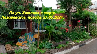 По ул Ушакова к морю!  Лазаревское утром 27.05.2024.🌴ЛАЗАРЕВСКОЕ СЕГОДНЯ🌴СОЧИ.