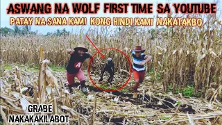 ASWANG NA WOLF UMATAKE SA SITIO BARUBAL, PATAY NA SANA KAMI KONG HINDI KAMI NAKATAKBO...MAPANGANIB