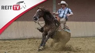 Westernreiten | Westernpferde in der Superhorse-Prüfung