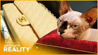 Selling My Designer Bags To Buy A Cat Mansion | Best of Posh Pawn : Luxury Bags | Absolute Reality