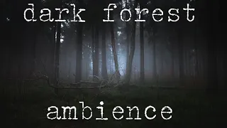 Ancestral Forest | Ambient Music and Nature - Dark Rainy Woods - 1 Hour
