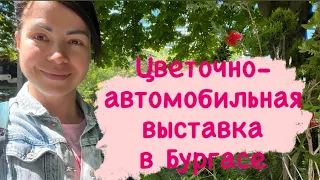 Жизнь в Болгарии|Цветочная и автомобильная выставки|Изделия из натуральных материалов hand made