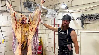 How to cut/split a Cow Carcass in Half | The Bearded Butchers.