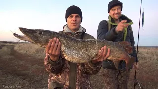 ЭТА СНАСТЬ ловит щуку на ЖИВЦА! ПОПЛАВОК устал от КЛЁВА! Местный МОНСТР!