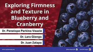 Exploring Firmness and Texture in Blueberry and Cranberry