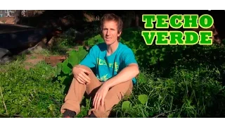 Techo verde