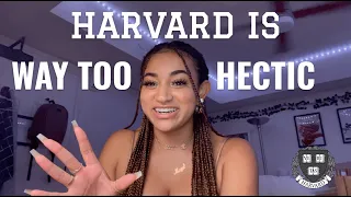 HARVARD IS TOO HECTIC FOR ME | maya lauren