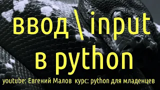 Вводinput в python