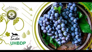 Вебінар «Біо-захист винограду від шкідників та хвороб»