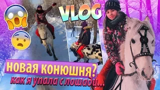  ВЛОГ: Перешла в новую конюшню.Как я упала с лошади #MTkonoBLOG MarishaMT blogger