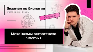 Экзамен по биологии | МЕХАНИЗМЫ ОНТОГЕНЕЗА. Часть 1