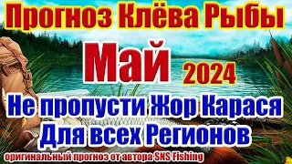 Календарь рыбака Май 2024 Прогноз клева рыбы на неделю Календарь клева рыбы