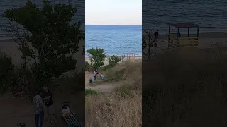 ОДЕССА прямо сейчас💥 Собачий пляж 🏖