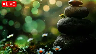 Zen Music | Deep  Ambient Music with Nature Sounds | reiki Healing Tone