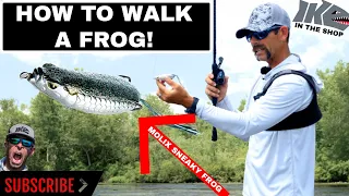 How to Walk a Topwater Frog