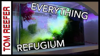 Reef Tank ( EVERYTHING REFUGIUM ) - In 9 Minutes