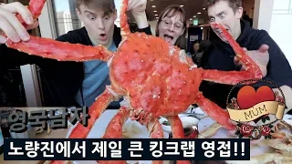 I found the BIGGEST King Crab I could in Korea for my Mum...🦀😱