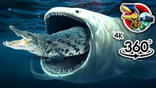 360 Bloop Chasing the Giant Crocodile | 4K 360 video