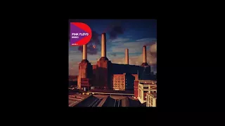 Sheep - Pink Floyd - Remaster (04)