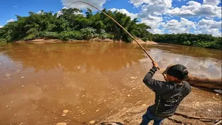 Era pra ser uma simples pescaria de pacu na vara de bambu. Olha o que pegamos.