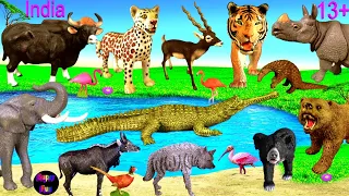 Animals - Tiger Elephant Rhino Cobra Gharial Leopard Gaur Nilgai Bears Pangolin Sloth Bear 13+