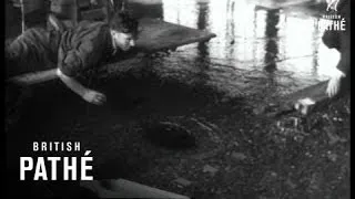 Selected Originals - Holland - 'operation Dyke' Aka Dutch Floods (1953)