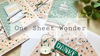 One Sheet Wonder mit einem 30x30 Papier von #craftsensations• Action