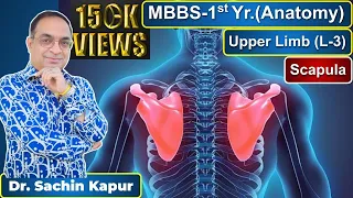 MBBS | First Year | 1st Prof. | Anatomy | Upper Limb L-3 | Scapula | Dr Sachin Kapur | AIIMS