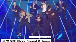 방탄소년단 BTS[4K직캠]피 땀 눈물 Blood Sweat & Tears@161116 Rock Music