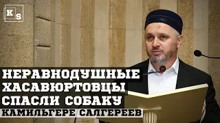 Неравнодушные хасавюртовцы спасли собаку┇Камильгере Салгереев.