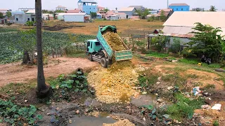 Bulldozer D20 And Dump Truck 5Ton Working Landfill Up Droping Rock Stone Delete Small Pit