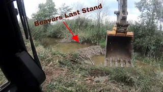 Beaver dam removal with excavator!!