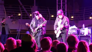 Rock Legends Cruise 2022 -  Blue Oyster Cult performing Burnin' For You