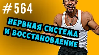 ЦНС  - восстановление, предтрены, стрессы, сплит тренировки