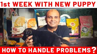 1st Week with New Puppy at Home | Handle Initial Problems | Live Example By Baadal Bhandaari