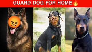 Top 5 Guard Dog Breeds For Home | 2023 guard dogs