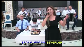 Toy acilisi gozel bir ifa Sevinc Abbasova / tamada Kamal Kəhrizli / sevinc abbasova segah mugami